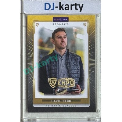 2024/25 Goal Cards Maxa liga 1. série #SOK-26 David Fečo Parallel Expo Gold 1of4