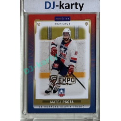 2024/25 Goal Cards Maxa liga 1. série #TRE-23 Matěj Psota Parallel Expo Gold 1of4