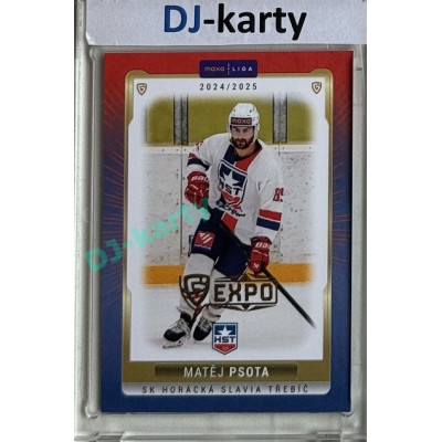 2024/25 Goal Cards Maxa liga 1. série #TRE-23 Matěj Psota Parallel Expo Gold 1of4