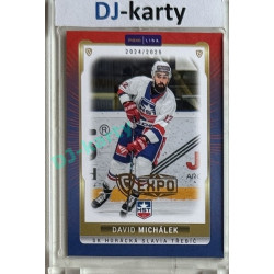 2024/25 Goal Cards Maxa liga 1. série #TRE-21 David Michálek Parallel Expo Gold 1of4
