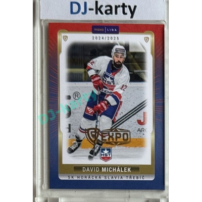 2024/25 Goal Cards Maxa liga 1. série #TRE-21 David Michálek Parallel Expo Gold 1of4