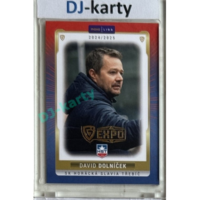 2024/25 Goal Cards Maxa liga 1. série #TRE-25 David Dolníček Parallel Expo Gold 1of4