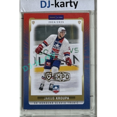 2024/25 Goal Cards Maxa liga 1. série #TRE-05 Jakub Kroupa Parallel Expo Gold 1of4