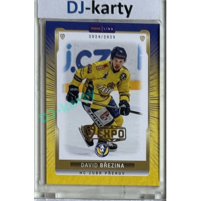 2024/25 Goal Cards Maxa liga 1. série #PRE-13 David Březina Parallel Expo Gold 1of4
