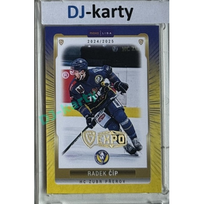 2024/25 Goal Cards Maxa liga 1. série #PRE-22 Radek Číp Parallel Expo Gold 1of4
