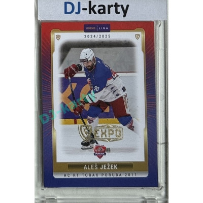 2024/25 Goal Cards Maxa liga 1. série #POR-08 Aleš Ježek Parallel Expo Gold 1of4