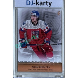 2024/25 LC Repre serie 1 #WJC-10 Adam Židlický World Junior Championship 2025 Canada Gold