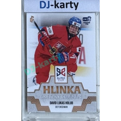 2024/25 LC Repre serie 1 #HGC-04 David Lukas Holub Hlinka Gretzky Cup 2024 Gold