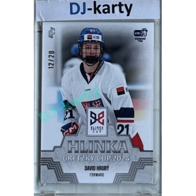 2024/25 LC Repre serie 1 #HGC-15 David Hrubý Hlinka Gretzky Cup 2024 Platinum xx/20