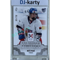 2024/25 LC Repre serie 1 #HGC-17 Matěj Pekař Hlinka Gretzky Cup 2024 Platinum xx/20
