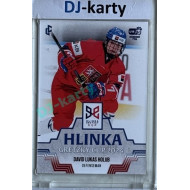 2024/25 LC Repre serie 1 #HGC-04 David Lukas Holub Hlinka Gretzky Cup 2024 Tricolor 1of1