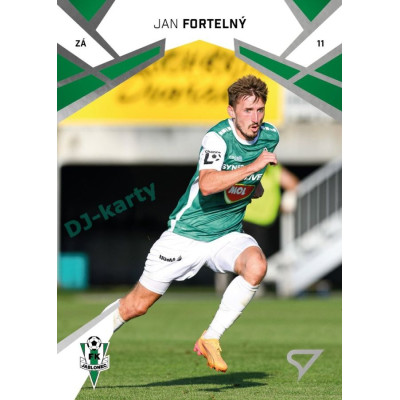 2024/25 Sportzoo Chance Liga 2. série #304 Jan Fortelný