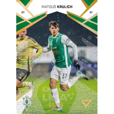 2024/25 Sportzoo Chance Liga 2. série #308 Matouš Krulich Gold Glitter xx/25