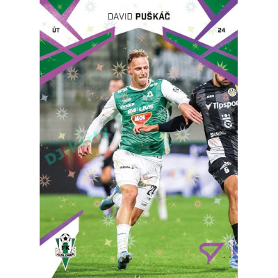 2024/25 Sportzoo Chance Liga 2. série #309 David Puškáč Cosmic Pink