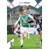 2024/25 Sportzoo Chance Liga 2. série #309 David Puškáč Cosmic Pink