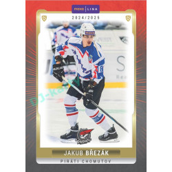 2024/25 Goal Cards Maxa liga 1. série #CHOM-04 Jakub Březák Parallel 1of15