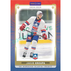 2024/25 Goal Cards Maxa liga 1. série #TRE-05 Jakub Kroupa Parallel 1of15