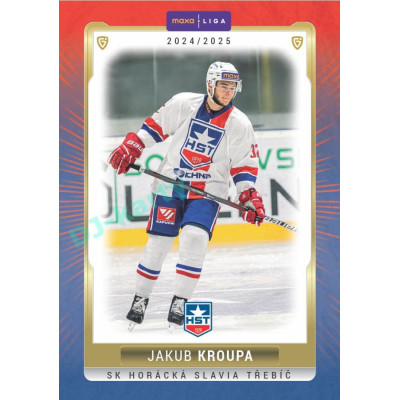 2024/25 Goal Cards Maxa liga 1. série #TRE-05 Jakub Kroupa Parallel 1of40