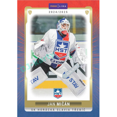 2024/25 Goal Cards Maxa liga 1. série #TRE-02 Jan Mičán Parallel 1of15