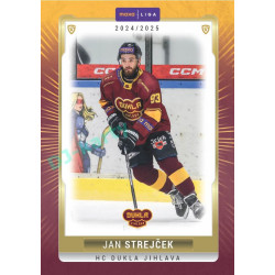 2024/25 Goal Cards Maxa liga 1. série #JIH-03 Jan Strejček Parallel 1of40