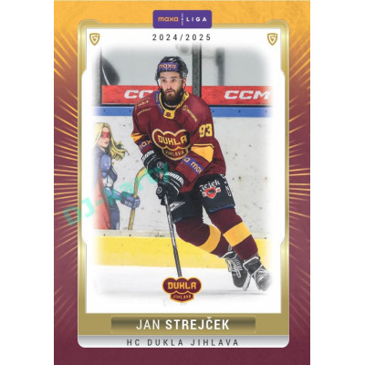 2024/25 Goal Cards Maxa liga 1. série #JIH-03 Jan Strejček Parallel 1of40