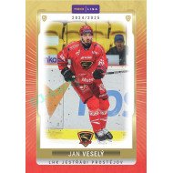 2024/25 Goal Cards Maxa liga 1. série #PRO-14 Jan Veselý Parallel 1of40