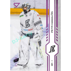 2024/25 Sportzoo ELH 1. serie #182 Petr Hamalčík Purple Iceberg xx/60