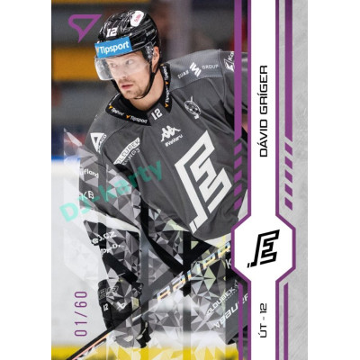 2024/25 Sportzoo ELH 1. serie #192 Dávid Gríger Purple Iceberg xx/60
