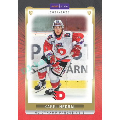 2024/25 Goal Cards Maxa liga 1. série #PCE-05 Karel Nedbal Parallel 1of15