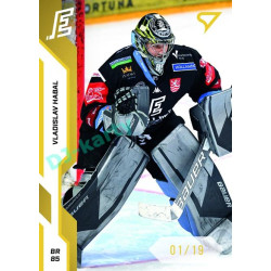 2022/23 Sportzoo ELH 2. série #339 Vladislav Habal Gold xx/19