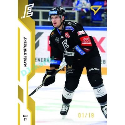 2022/23 Sportzoo ELH 2. série #342 Matěj Stříteský Gold xx/19