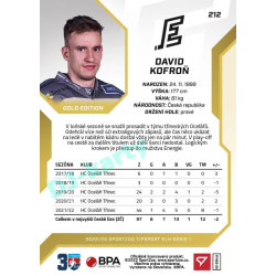 2022/23 Sportzoo ELH 1. série #212 David Kofroň Gold xx/19