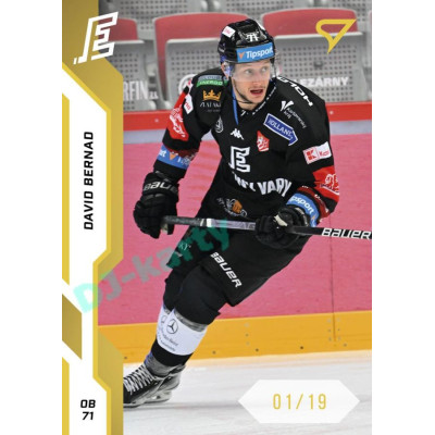 2022/23 Sportzoo ELH 1. série #201 David Bernad Gold xx/19
