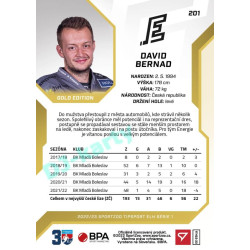 2022/23 Sportzoo ELH 1. série #201 David Bernad Gold xx/19