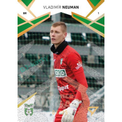 2024/25 Sportzoo Chance Liga 2. série #334 Vladimír Neuman Gold Glitter xx/25