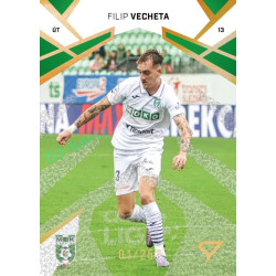 2024/25 Sportzoo Chance Liga 2. série #343 Filip Vecheta Gold Glitter xx/25