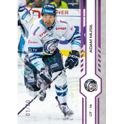 2024/25 Sportzoo ELH 1. serie #122 Adam Musil Purple Iceberg xx/60