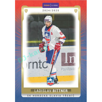 2024/25 Goal Cards Maxa liga 1. série #TRE-15 Ladislav Bittner Parallel 1of40