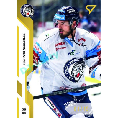 2022/23 Sportzoo ELH 2. série #304 Richard Nedomlel Gold xx/19