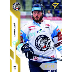 2022/23 Sportzoo ELH 2. série #305 Adam Dlouhý Gold xx/19