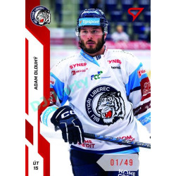 2022/23 Sportzoo ELH 2. série #305 Adam Dlouhý Red xx/49