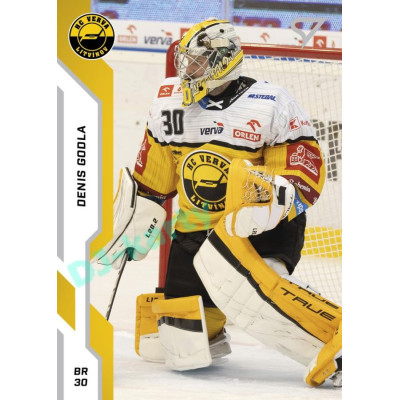2022/23 Sportzoo ELH 1. série #217 Denis Godla