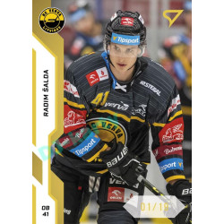 2022/23 Sportzoo ELH 1. série #222 Radim Šalda Gold xx/19