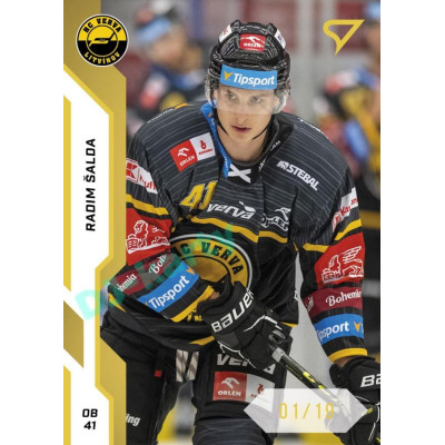 2022/23 Sportzoo ELH 1. série #222 Radim Šalda Gold xx/19