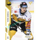 2022/23 Sportzoo ELH 1. série #234 Patrik Zdráhal Gold xx/19