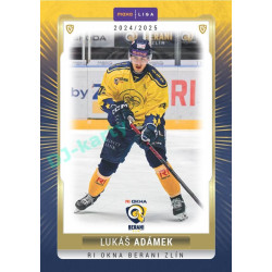2024/25 Goal Cards Maxa liga 1. série #ZLI-27 Lukáš Adámek Parallel 1of40