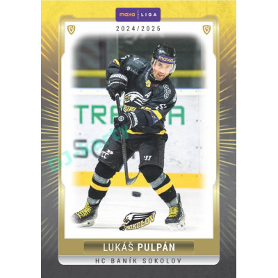 2024/25 Goal Cards Maxa liga 1. série #SOK-09 Lukáš Pulpán Parallel 1of40