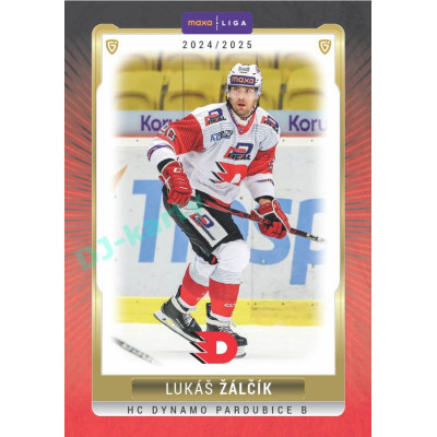 2024/25 Goal Cards Maxa liga 1. série #PCE-11 Lukáš Žálčík Parallel 1of40
