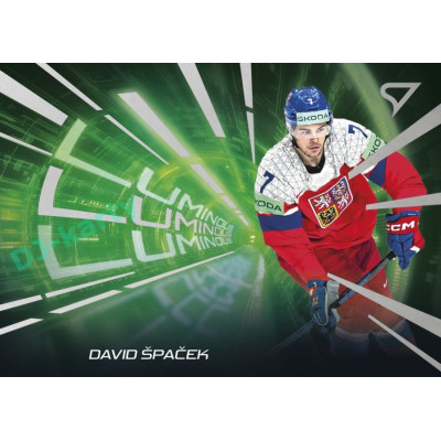 2025 Sportzoo Hokejové ČESKO #LS-11 David Špaček Luminous