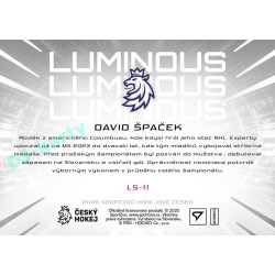 2025 Sportzoo Hokejové ČESKO #LS-11 David Špaček Luminous